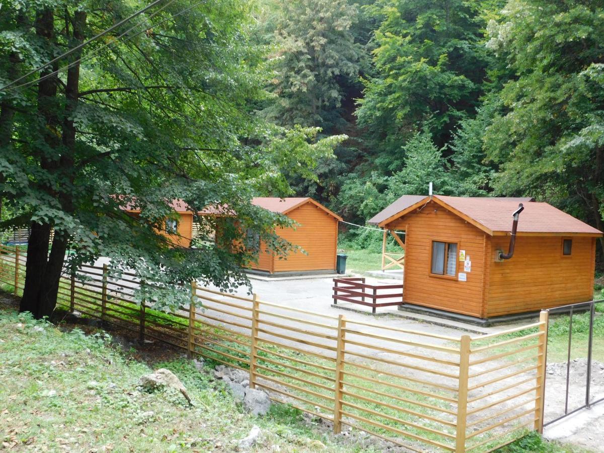 Sound Of Nature Tismana Zewnętrze zdjęcie