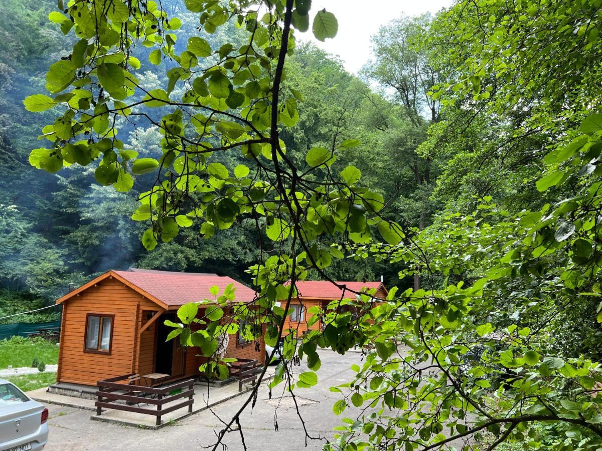 Sound Of Nature Tismana Zewnętrze zdjęcie