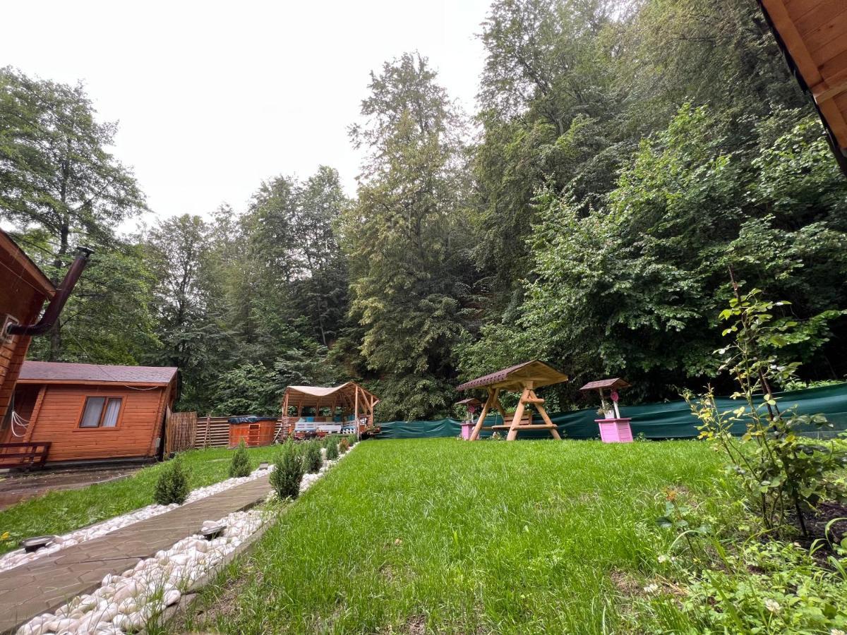Sound Of Nature Tismana Zewnętrze zdjęcie