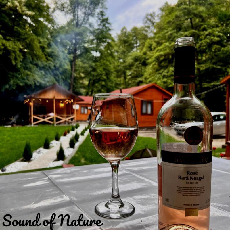 Sound Of Nature Tismana Zewnętrze zdjęcie